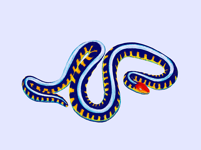 Garter Snake animals illustration snake