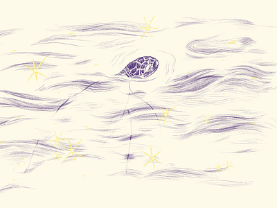 stay afloat animals illustration turtle