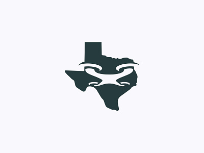 Houston Texans by Brave Bird Creative on Dribbble