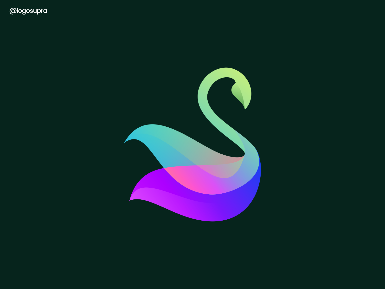 swan by Logo Supra on Dribbble