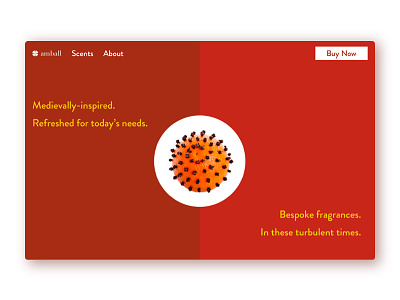Daily UI, Day 3 – Landing Page contrast covid-19 landing page pomander split screen
