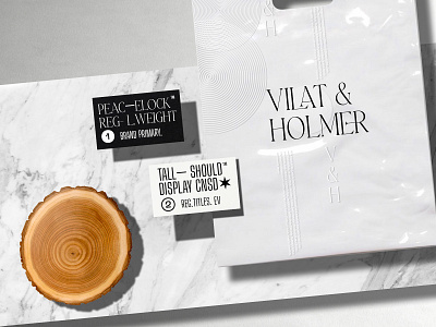 Vilat & Holmer brand identity branding business card design design editorial illustration logo typography vector visual art