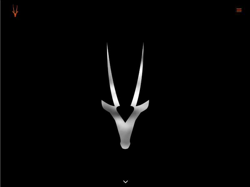 Oryx Stainless website branding design ui website