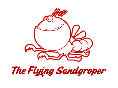 The Flying Sandgroper branding identity insect logo logotype red type typeface vector