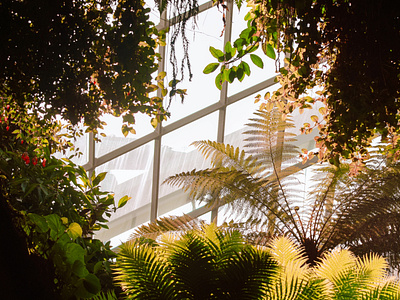 Gardens by the Bay, Singapore