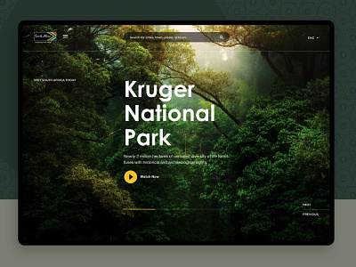 South Africa Tourism Landing Page design graphic design travel ui ux ux design web design