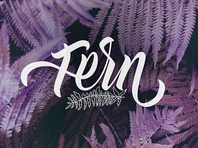 Fern