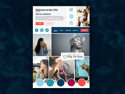 Cat Rescue Mood Board branding color palette colors mood board moodboard nonprofit ui ux web web design website