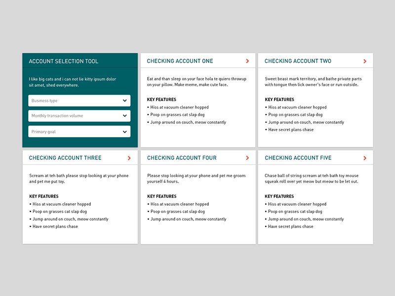 Account Selection Tool