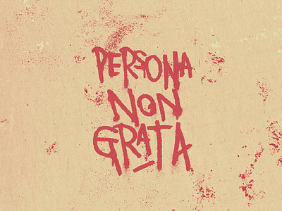 Persona Non Grata branding design fashion design graffiti graphic design grunge hardcore illustration lettering logo music music design photoshop punk spray typography