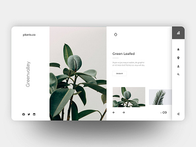 Plants Website conceptplantswebdesignuiuxweb ui creative uidesignsplants web