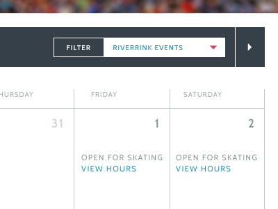 Calendar View calendar event filter ui