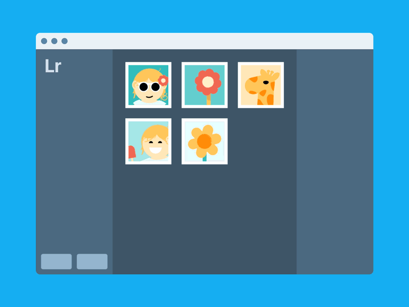 Wordpress lightroom plugin