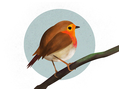Robin illustration brush illustration robin stipple texture webillustration