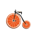 The Orange Bicycle Company
