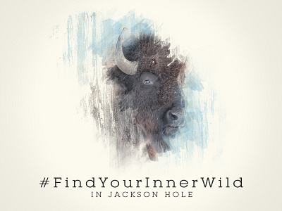 Find Your Inner Wild bison brush findyourinnerwild hashtag hole jackson paint splatter visit