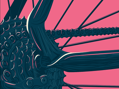 Bike Cassette