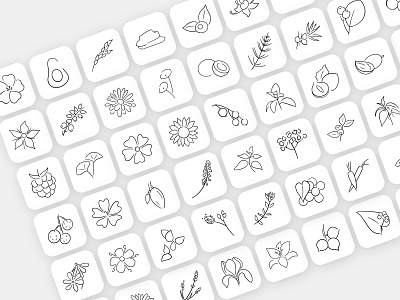 Icon Set for Yipsophilia cosmetics graphic design icon set icons illustration minimal organic plants procreate