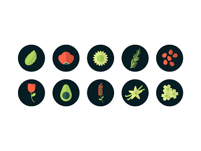 Plant Icon Set for Yipsophilia