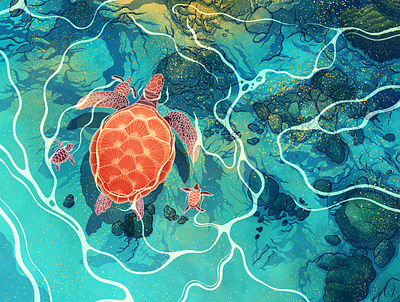 Crystal Clear animal illustration design digital editorial editorial illustration illustration illustrator nature procreate procreate art turtle