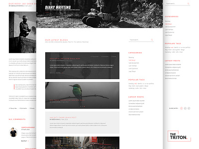 The Triton - Blog blog clean creative design triton ui ux web wp