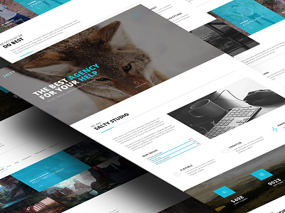 Salty - Full Shot clean design minimal portfolio salty template web