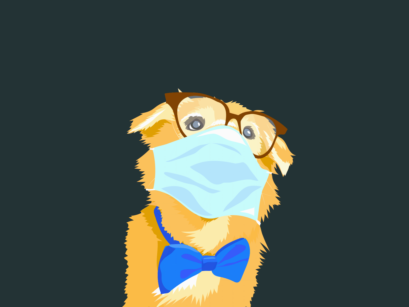 Quarantine Troubles 2d character adobe illustrator after effects animation design dog flat illustration quarantine ui