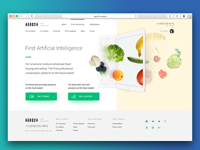 Landing page fruits landing page startup vegetables web design