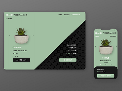 E-commerce Checkout Page Mockup