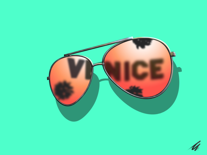 Venice Views illustration vector california venice aviators sunglasses