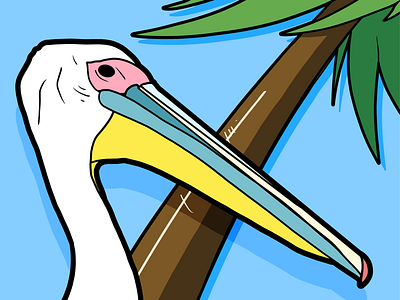 Florida art illustration pelican tropical vector