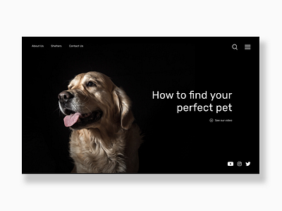 Pet Finder UI design landing pets ui web
