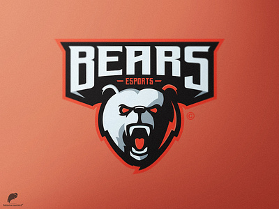 Bear's Mascot Logo Primary branding design icon identity illustration illustrator logo type typography