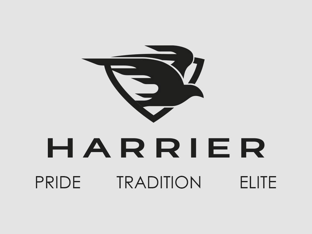 Harrier Sport Brand By Fjk E Design On Dribbble