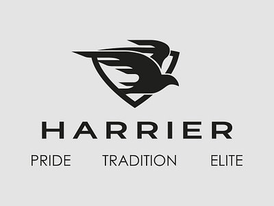 Harrier Sport Brand branding design flat graphic graphic art icon identity illustration illustrator logo sport typography vector web website