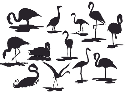 The Flamingo Bird's Silhouette animal animal art animal illustration animals bird design flamingo illustration inspiration line art lineart studio vector vectors