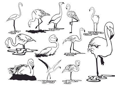 Set Flamingo Bird with a Line Art Style