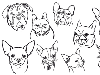 Dog head with line art style animal art animal illustration animals design dog dog illustration illustration line art pet printing