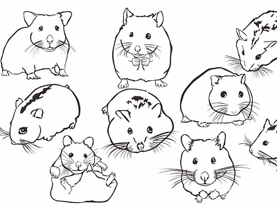 Hamster with line art style animal animal illustration cute animal cute art cute illustration design hamster illustration line art mouse pet