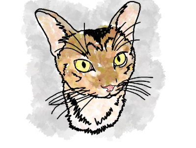 Cat Illustration