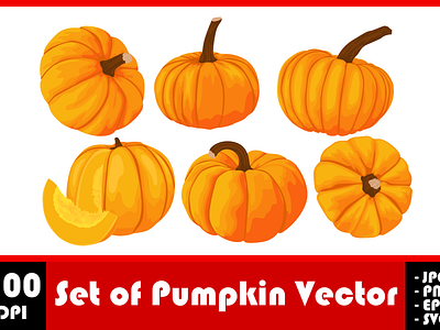 Set of Pumpkin Vector design fruit graphic design inspiration vec vector