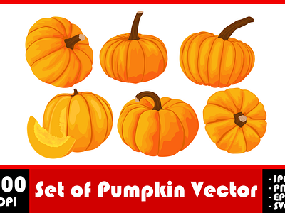 Set of Pumpkin Vector