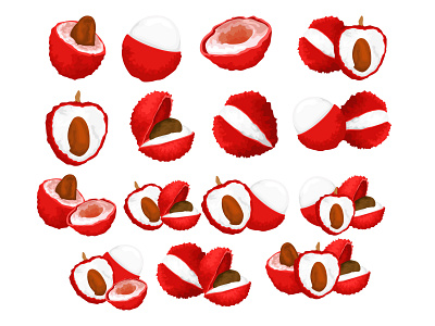 Lychee Fruit Vector Graphic design fresh fruit fruit illustration fruits fruity illustration inspiration lychee lychee fruit red studio vector
