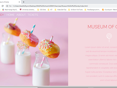 Museum of Candy pt 2 design portfolio ui ux web design website