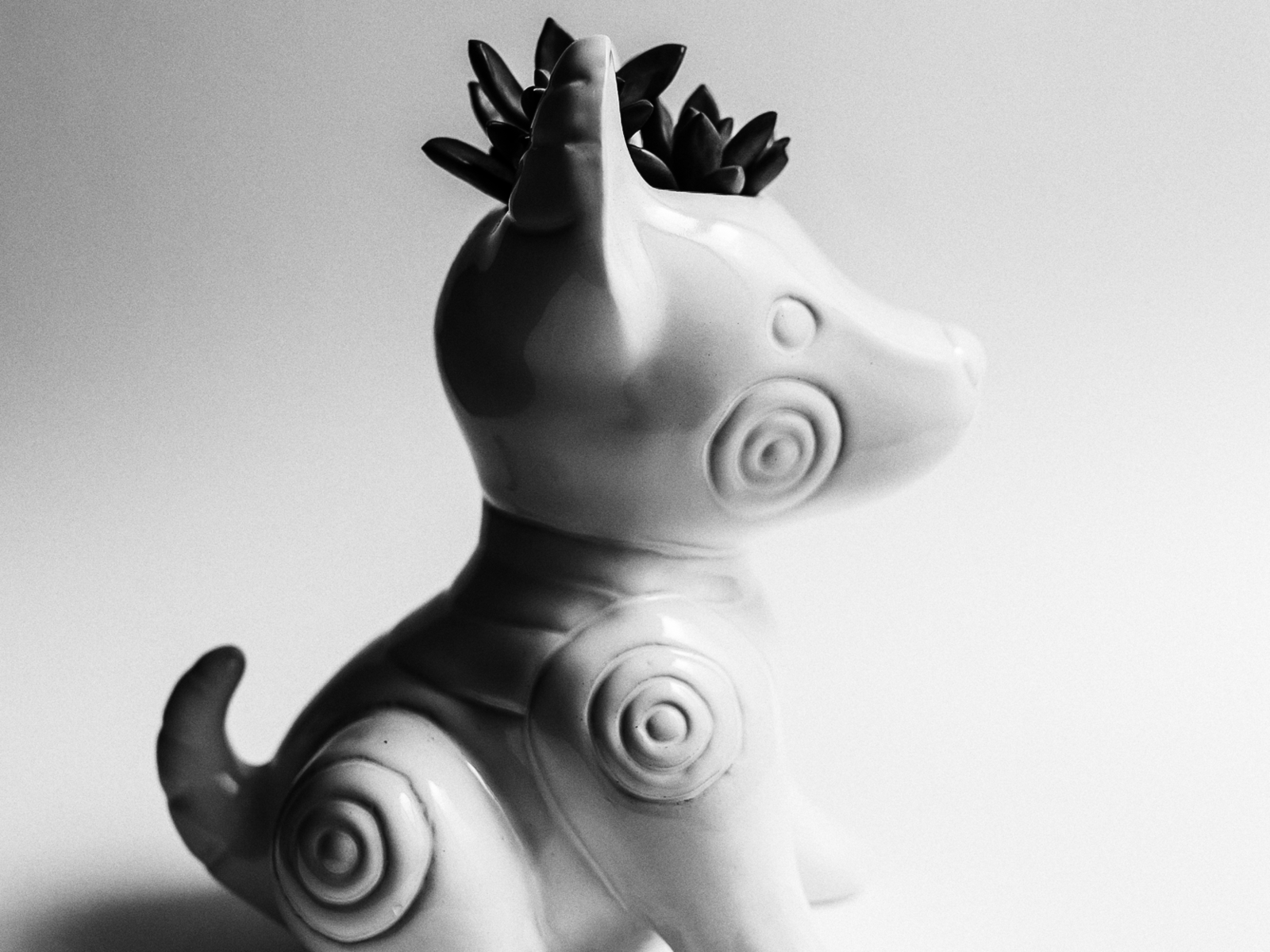 Garbanzo 2018 62 by Mr. Chuck on Dribbble