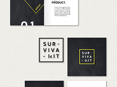 Survivalkit - Corporate Design for Loyalkaspar booklet box chalk corporate graphic design line logo loyalkaspar minimalistic square survival