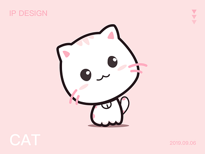CAT design