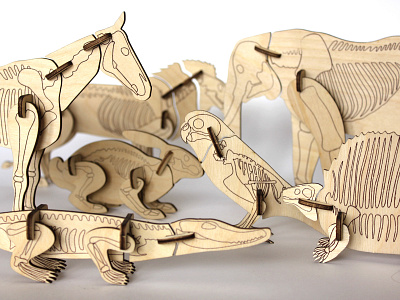 Animals animals constructor skeleton souvenirs