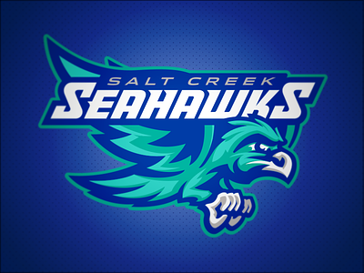 Salt Creek Seahawks // Primary bird elementary hawk hawks mascot school seahawk seahawks