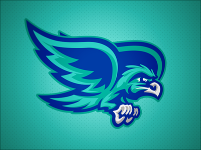 Salt Creek Seahawks // Mascot bird elementary hawk hawks mascot school seahawk seahawks